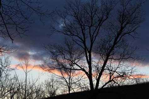 Dirt Road Photos - Ozark Sunset Silhouettes