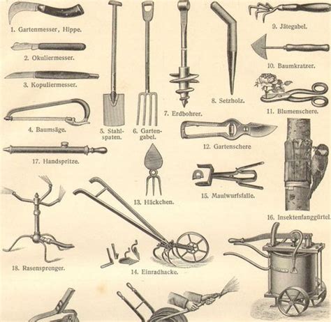 The history of gardening hand tool | Ronix Mag