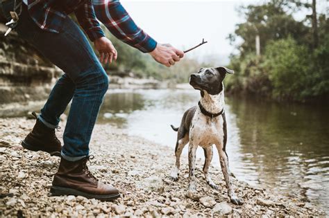 The Wait Weight Is Over: How to Make Pet Exercise...FUN! | Oakhurst ...