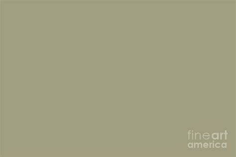 Muted Sage Green Solid Color Accent Shade Pairs Sherwin Williams Herbal Wash SW 7739 Digital Art ...