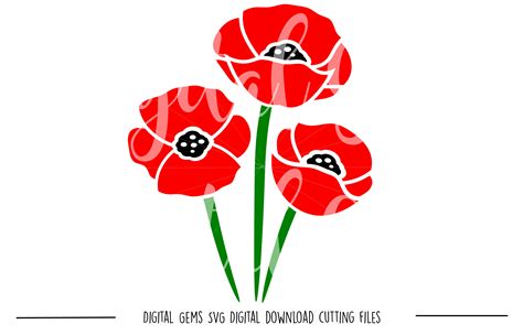 Poppy Flowers SVG / PNG Files (23438) | SVGs | Design Bundles