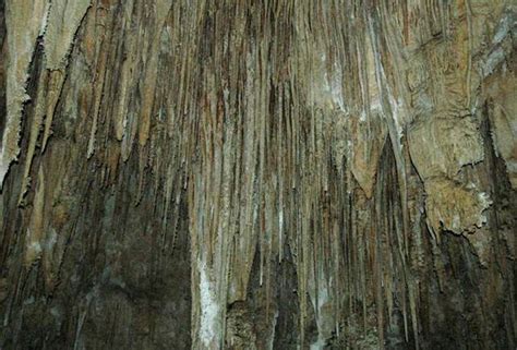 Stalactites (dripstone), near CrystalSpring Dome, eastern side of the Big Room, Carlsbad Caverns ...