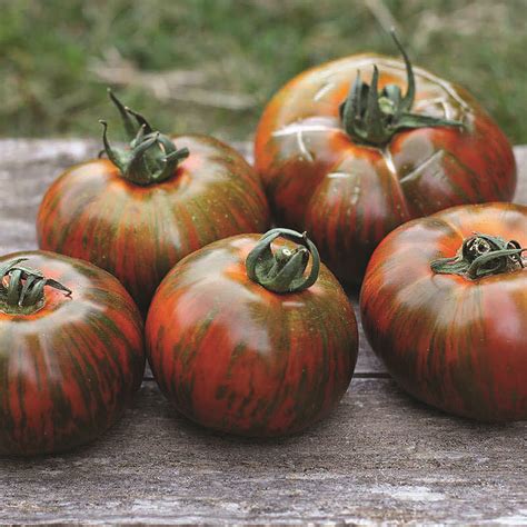 5 Heirloom Tomato Varieties that Embody the Essence of Summer - Happy Dirt