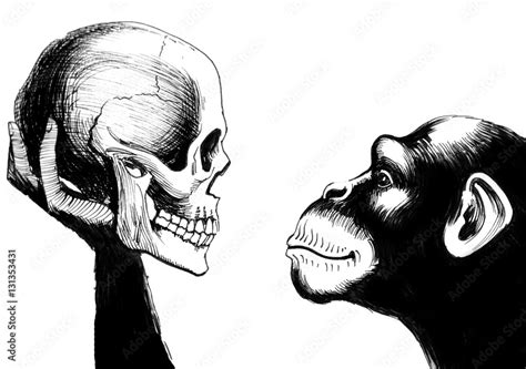 Chimp and skull Stock 일러스트레이션 | Adobe Stock