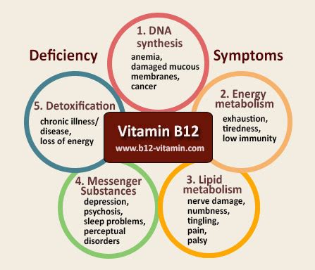 Vitamin B12 - An Overview