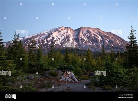 WA22504-00...WASHINGTON - Dawn light on Mount St. Helens from the Lahar ...