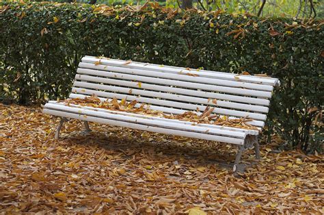 Autumn Bench Photograph by Oscar Hurtado - Fine Art America