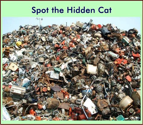 Picture riddle spot the hidden cat – Artofit