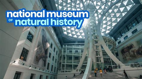 NATIONAL MUSEUM OF NATURAL HISTORY in MANILA: Guide for First-Timers ...