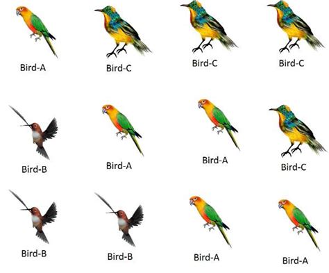 Biodiversity | Types, importance, and conservation of biodiversity ...