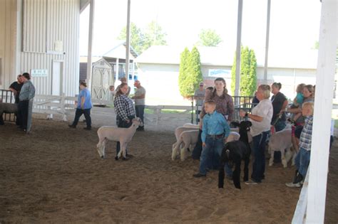 Livestock & Crops | Morgan County Fair | Located in Martinsville, IN