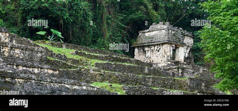 Mayan temple at Palenque, Chiapas, Mexico Stock Photo - Alamy