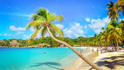 Que Faire en Guadeloupe: TOP 23 Lieux à Voir | Conseils | Voyage Tips