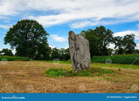 The Fairy Rock Menhir in Brittany France Stock Photo - Image of covered ...