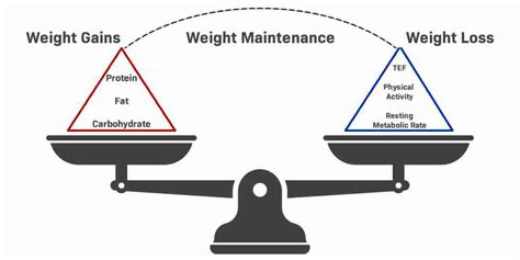 Losing Weight Using The Energy Balance Equation - Triathlon Newbies