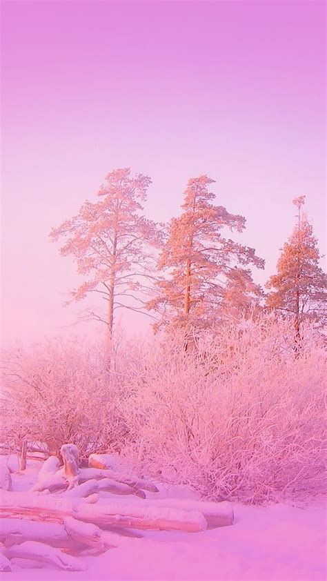 Pink trees, flowers, mountains, nights, snowy, winter, HD phone wallpaper | Peakpx