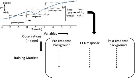 Frontiers | Closed-Loop Implantable Therapeutic Neuromodulation Systems Based on Neurochemical ...