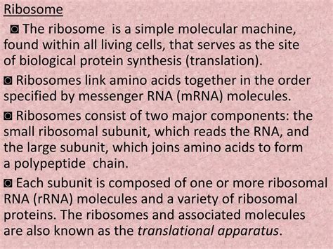 Prokaryotic cell structure - ppt download