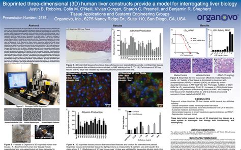 Bioprinted three dimensional human liver contructs provide a model for interrogating liver ...