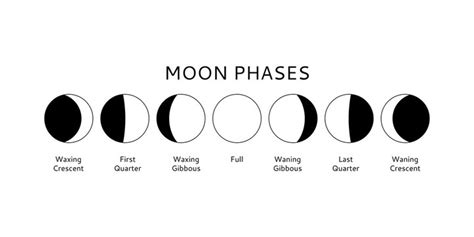 Aggregate more than 80 phases of moon sketch latest - seven.edu.vn