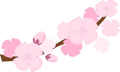 Free Cherry Blossom Cliparts, Download Free Cherry Blossom Cliparts png images, Free ClipArts on ...