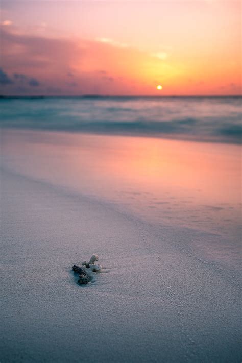 Sunset on the beach - Maldives - Travel photography | Flickr