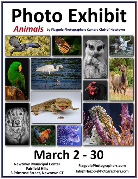 Animals Photo Exhibit – Flagpole Photographers Camera Club