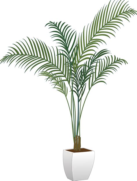 Download Plants Houseplant Flowerpot Arecaceae Vector Green Potted HQ PNG Image | FreePNGImg