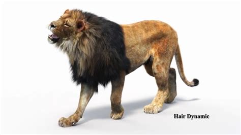 Animated Lion 3d Model (3DS Max 2018 Arnold) - by PROmax3D Exclusively ...