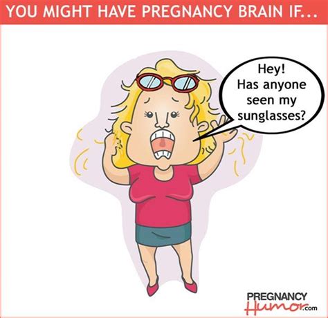 Anatomy of a Pregnant Woman's Brain - Pregnancy Humor | Pregnancy brain, Pregnancy humor, Funny ...