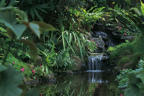 How Does the Climate Affect the Ecosystem of the Rainforest? | Sciencing