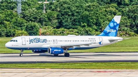 Does Jetblue Fly to Jamaica? (See If Direct Flights Available to the Island)