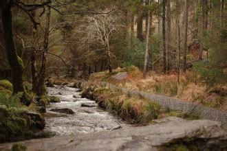 Hiking at Gougane Barra Forest Park – Tea and a camera