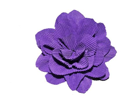 Flower Purple · Free image on Pixabay