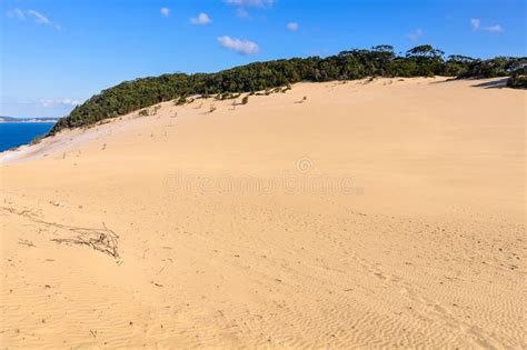 Sand Dunes in Rainbow Beach, Australia Stock Photo - Image of landscape ...