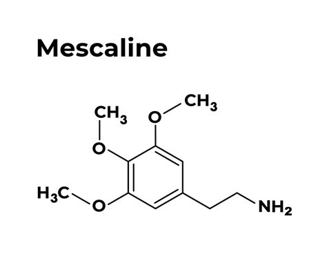 DIY Mescaline Extraction: How Best to Get the Good Stuff Out - Cannadelics