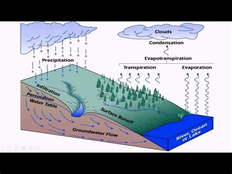 Groundwater Cycle For Kids