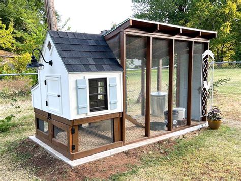 Your Guide To Building A Diy Chicken Coop For Your Backyard