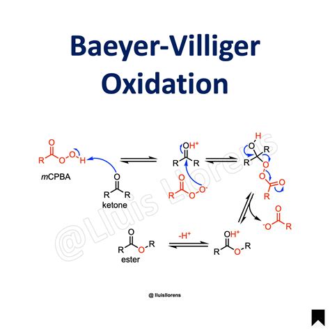 Baeyer-Villiger Oxidation - nrochemistry