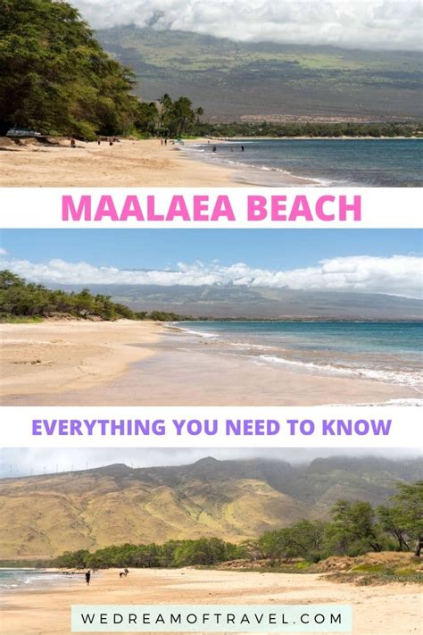 🏝 Maalaea Beach, Maui: Ultimate Visitor's Guide (2024)