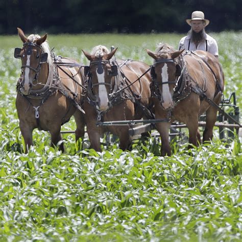 Amish Farming Methods