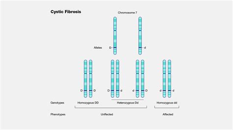 Cystic Fibrosis (CF)