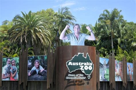 Australia Zoo Tour, Noosa Heads - Civitatis.com