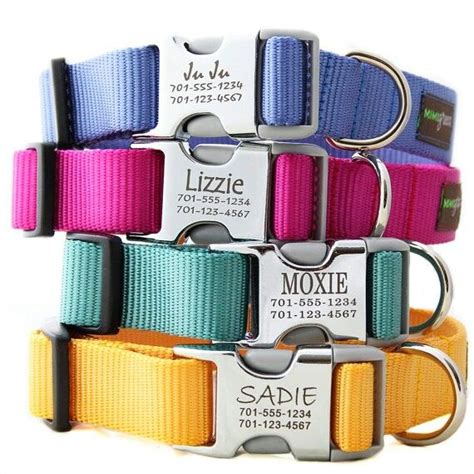 Colorful collar no more hanging tags | Personalized dog collars, Designer dog collars, Dog person