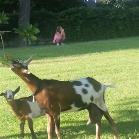 PARQUE DA CIDADE DE GUIMARAES (2025) - All You MUST Know Before You Go