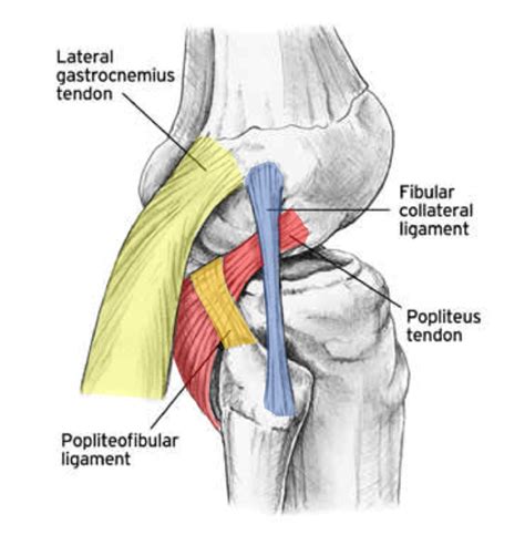 Posterior lateral corner injury