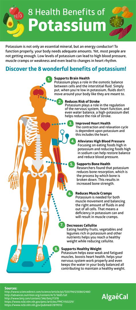 The Ultimate Potassium Rich Foods List For Optimal Health