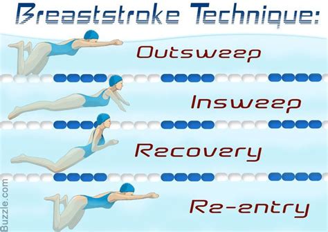 Amazing Swimming Techniques to Master the Breaststroke - Sports Aspire | Swim technique ...