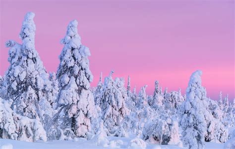 Pink Winter Sky Wallpapers - Wallpaper Cave