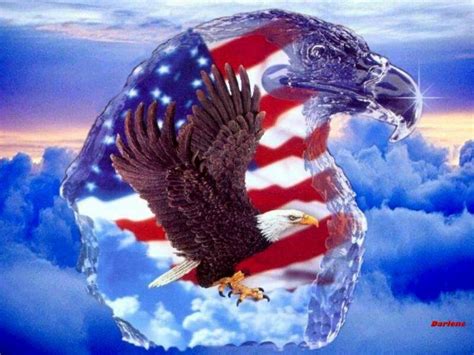 Bald Eagle Cool Wallpapers - Top Free Bald Eagle Cool Backgrounds - WallpaperAccess